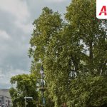 AirMax Internet: Przewodnik po Szybkości i Stabilności Sieci w Opolu
